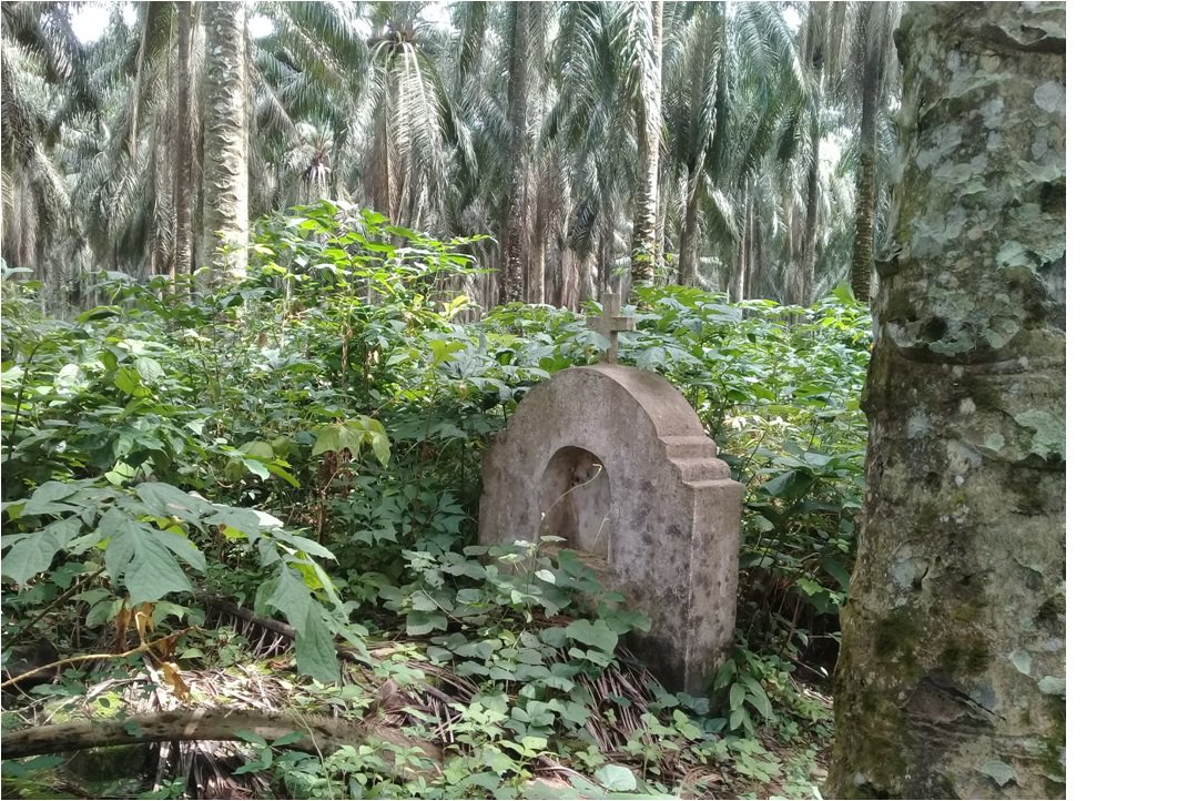 Forest4dev's tweet photo. Les palmiers ร huile de la #socapalm engloutissent les tombes des riverains mbondjo #accaparementdesterres #communityright https://t.co/HXKNMh8Pk0