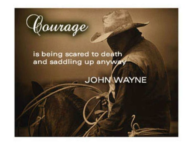 Please donate. Horses make great therapy for veterans. bit.ly/1RH93i8