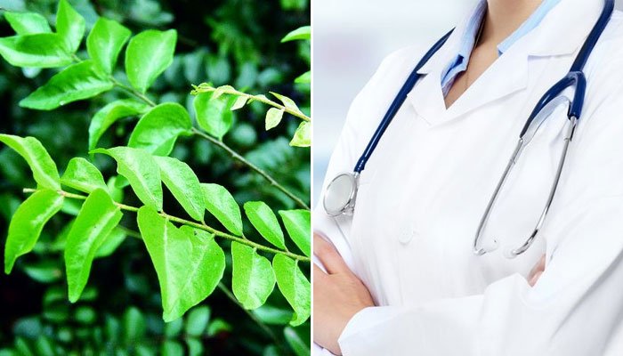 ZeeTamilNews's tweet image. #கறிவேப்பிலை பயன்கள் பற்றி தெரிந்துக்கொள்வோம்!
zeenews.india.com/tamil/health/l…
#Currytree #Health #Healthcare #Tamilnadu