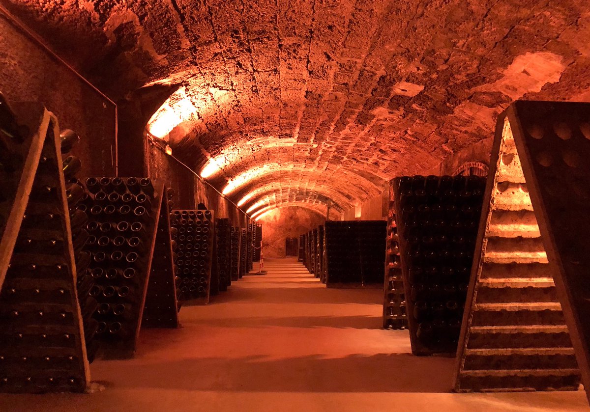 martagi5's tweet photo. Ahir jornada de portes obertes i estrena de la Nova il.luminació de les caves a @pagesentrena #cava #cavapagesentrena https://t.co/nkQun2vTMg