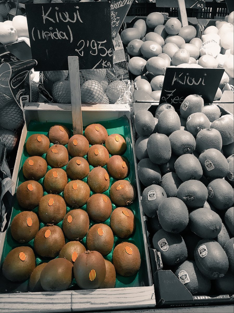 cambrilenca's tweet photo. El kiwi de Lleida plantant cara al de Nova Zelandia al port de Cambrils 🖍
#kiwi #lleida #km0 #productescatalans #cambrils #xarxadelport https://t.co/aece4p3ZzO