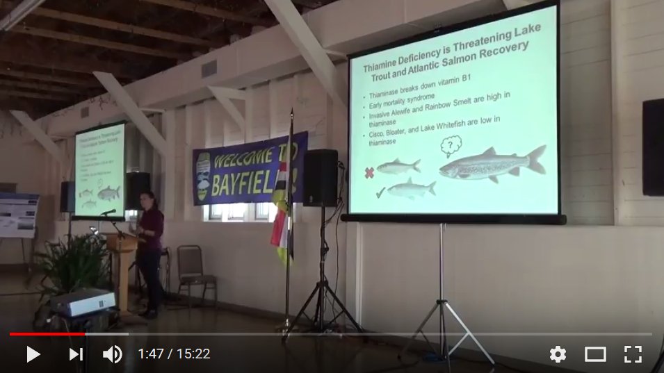 greatlakescisco's tweet photo. #ICYMI Want to hear more about Cisco science in #LakeOntario? Watch replay of my talk @ #Coregonid2017! https://t.co/Ai0ggCzdbo #FishyFriday https://t.co/FfmhXXj7VH