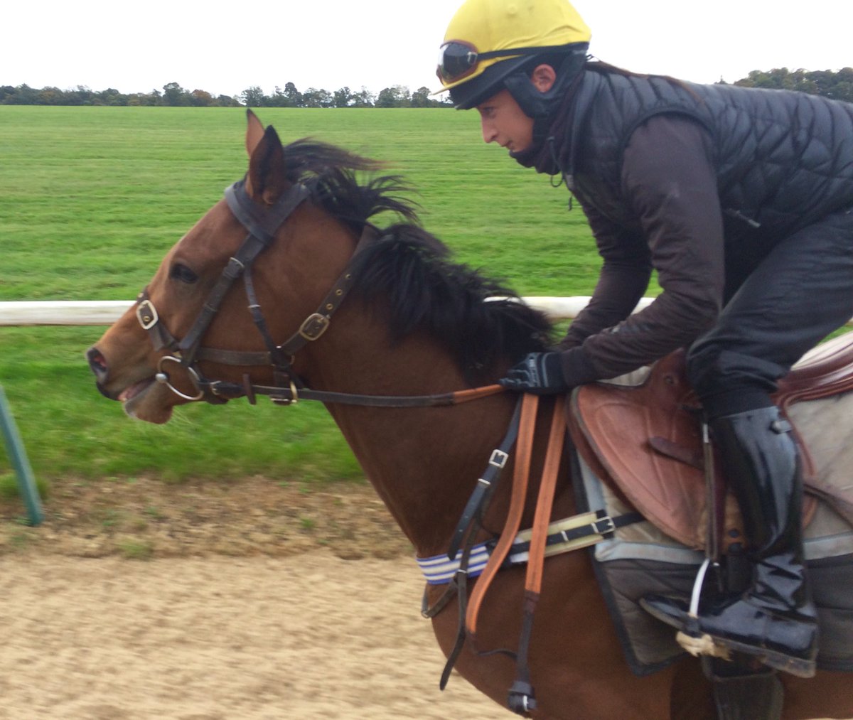 JohnWathenBerry's tweet photo. Thank u v much @NicolaCurrie22 for excellent help this morning, a stalls-practice session I won't forget in a hurry #WastedSunsets #Kryptos https://t.co/Wsr19akI4H