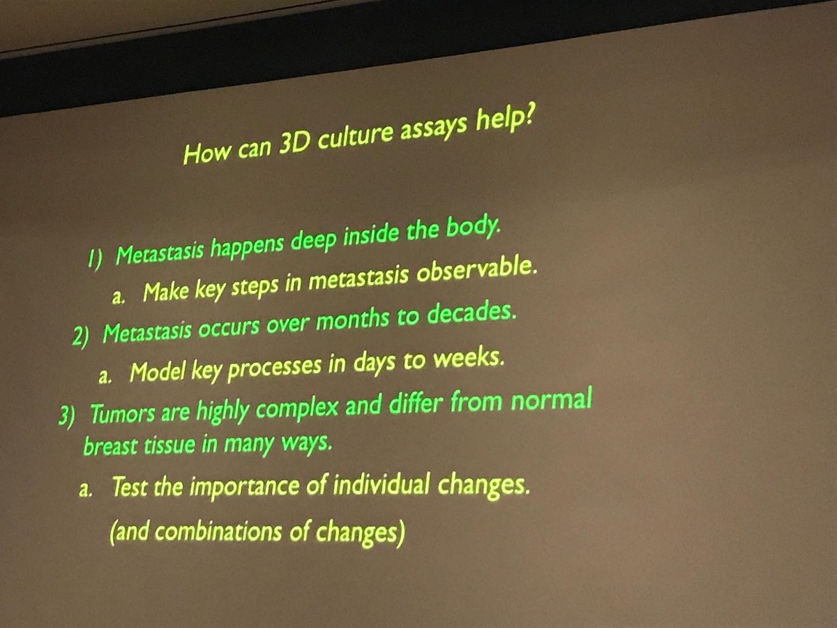 MBCNbuzz's tweet photo. @HopkinsMedicine Dr Andrew Ewald on how 3D culture can speed #metastatic breast cancer research at #MBCcon2017 https://t.co/C5m2ykuCKU