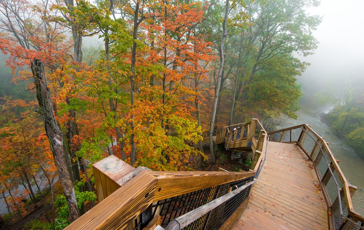 beherecleveland's tweet photo. One of the most picturesque locations in the Emerald Necklace.
#FortHillStairs #cLEAFland ππ https://t.co/SNNWnqdwFU
