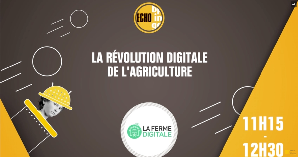 FermeDigitale's tweet photo. Vous n'avez pu assister à la conf "La #révolution digitale de l'agri" hier @Bpifrance ? Retrouvez nos 7 #startup ici https://t.co/C3fDWAa4DP https://t.co/1TKBn4ncPY