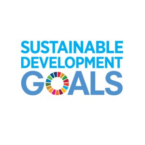 FIELDstartup's tweet photo. #TS2017 The focus is on #SDGs the method is #StartupInnovation The mission is to engage Africans to develop #Africa  https://t.co/G4uKYOOYox https://t.co/Ui5zB1rhpz
