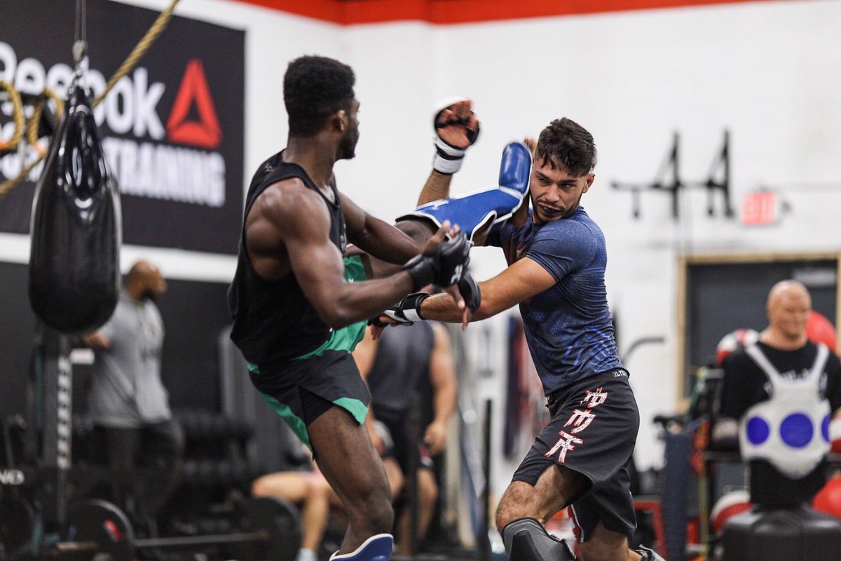 funkmasterMMA's tweet image. What did the 5 toes say to the face?? 🙃
-----
#FunkJitsu #JustTheTip #FlowSparring #Slap