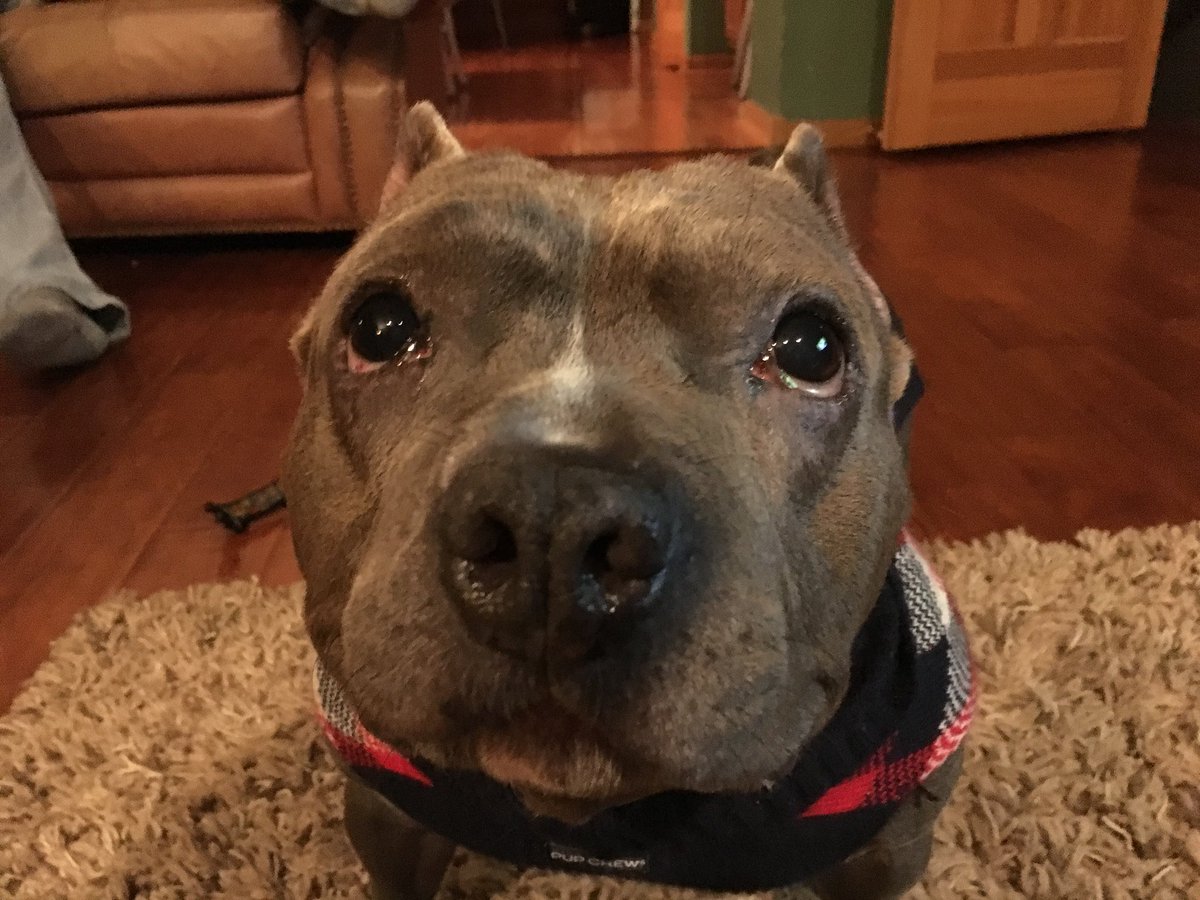 Hazel Devick tweet media