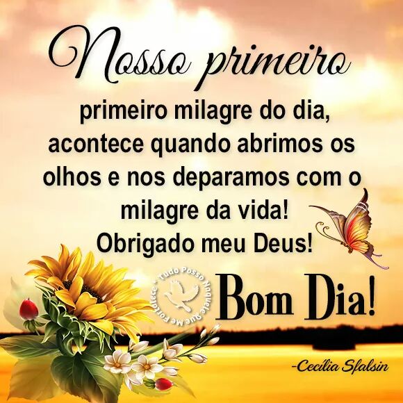 #bomdiabetas #betas #betaseguebeta #beta #betaajuda