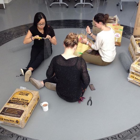 UniRdg_Art's tweet photo. 2nd year @UniofReading #UoRArt students team up with artist @cmackeystudio to install archival materails at @TheMERL #chookrun https://t.co/MTy3zDTPkF