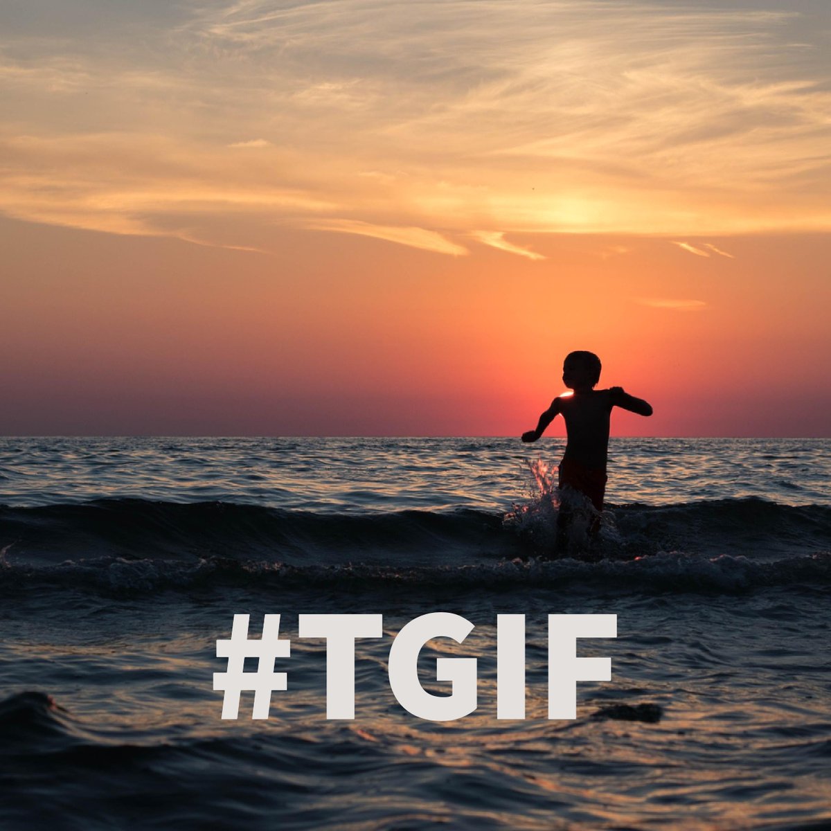 GobieGreat's tweet photo. It's Fri-yay!

#happyfriday #gobiegreat https://t.co/7iVrkiV4UZ