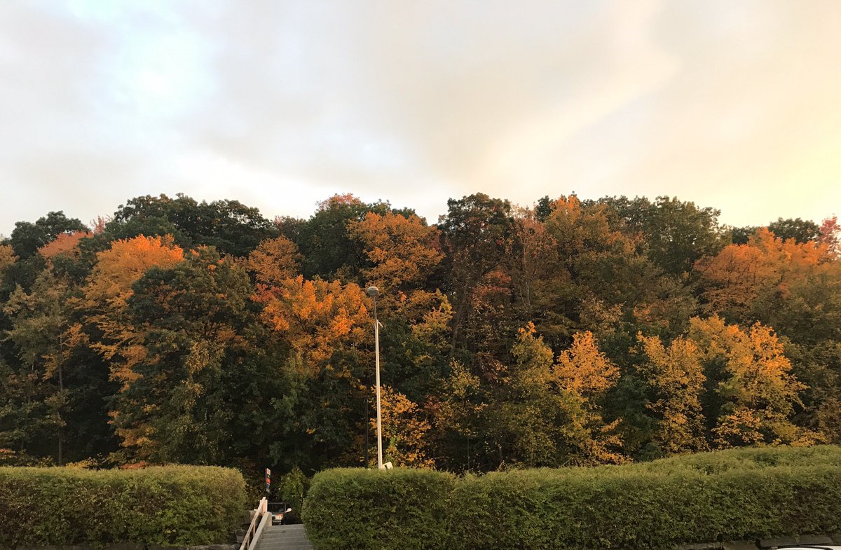 The fall colors are really starting to pop on campus! Remember to use #ICinAutumn when you share your scenic IC photos this time of year.