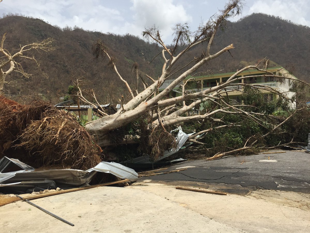 Specialty Coffee Association tweet media