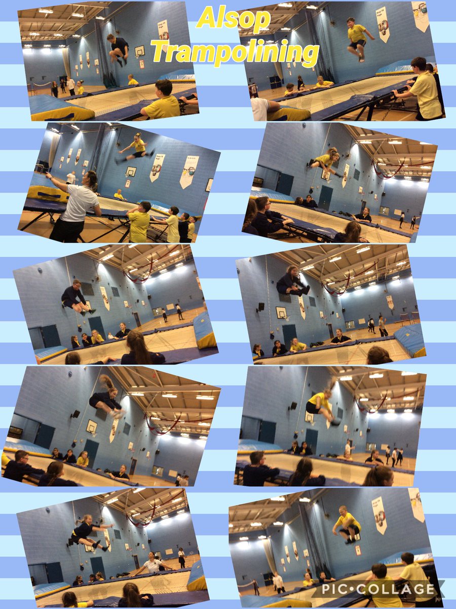 MrsMuirhead5's tweet photo. Another great afternoon at @alsopprimaryl @AlsopHighSch We are terrific trampoline jumpers! @PinehurstP https://t.co/5XF460h9sU