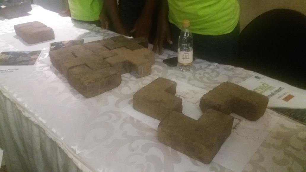 PachikoroZW's tweet photo. Next up is Polycycle making pavers from glass, plastic and sand #DeltaBoost2017 @BOOSTFellowship #imad #pachikoro https://t.co/Anr4HApmtA