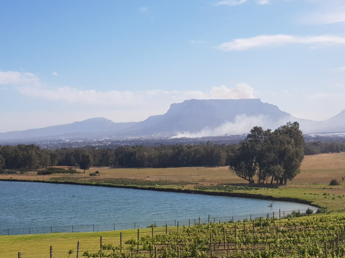 conqa_group's tweet photo. Rounding off a wonderful week at the beautiful grounds @degrendelwines. Thank you to everyone who made this all possible! #ESS2017 https://t.co/kA2lKE3bOV