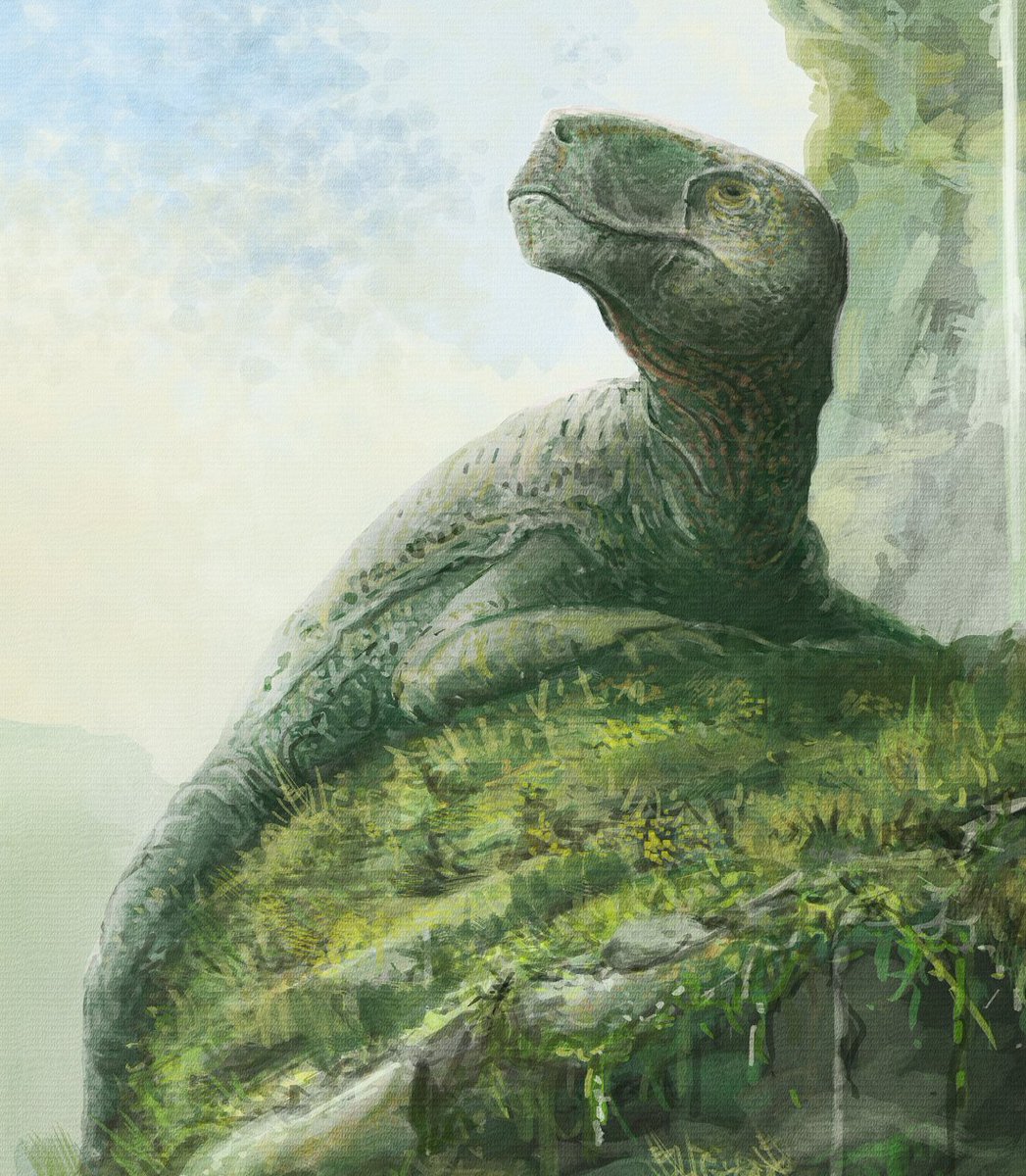 MarkWitton's tweet photo. Highlights of synapsid evolution for #FossilFriday: Inostrancevia, Stereognathus, Arsinoitherium and Daeodon. Details of larger #paleoart. https://t.co/tP6gfRyQTJ