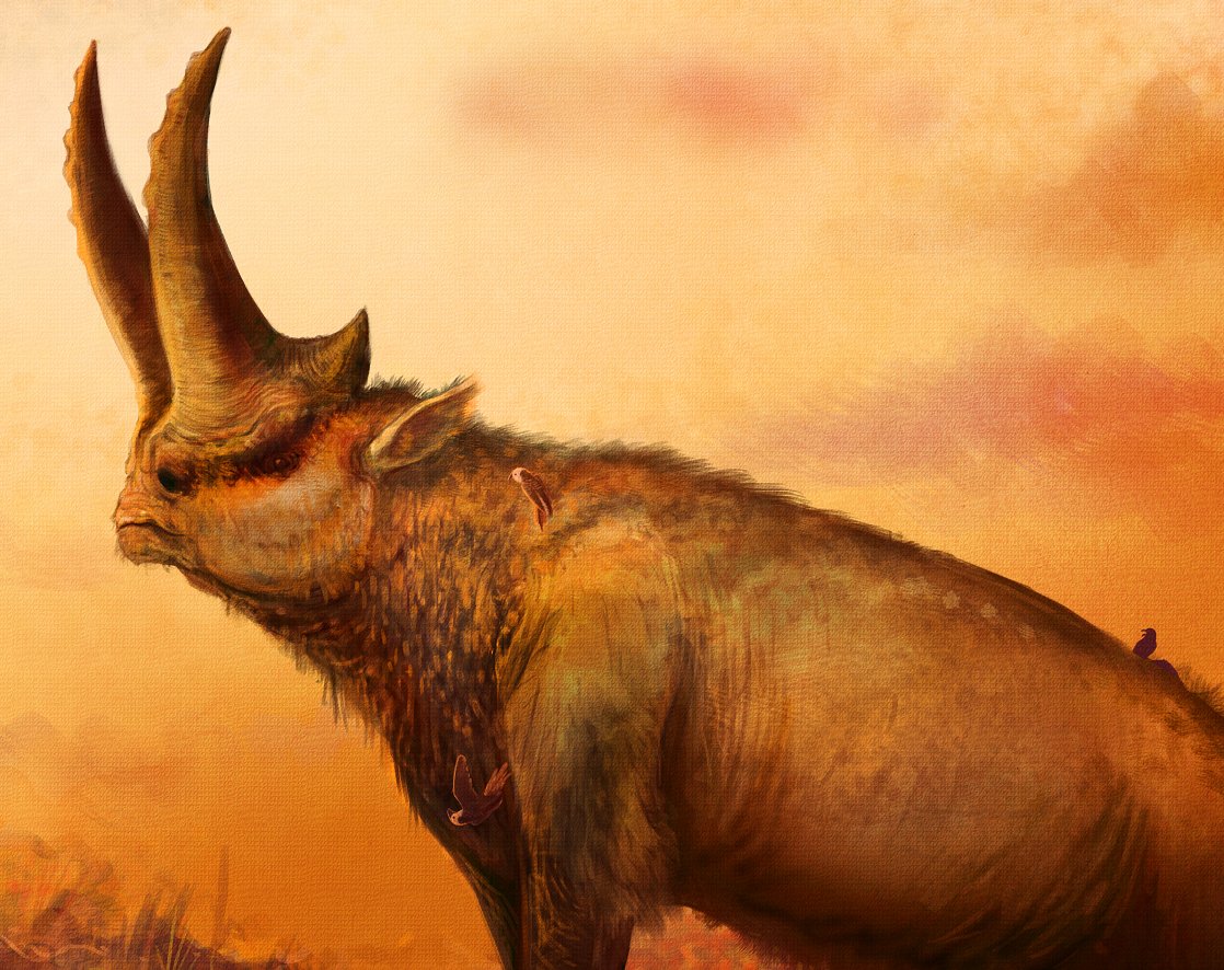 MarkWitton's tweet photo. Highlights of synapsid evolution for #FossilFriday: Inostrancevia, Stereognathus, Arsinoitherium and Daeodon. Details of larger #paleoart. https://t.co/tP6gfRyQTJ
