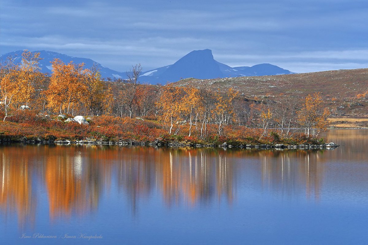 WowHowFinland tweet picture
