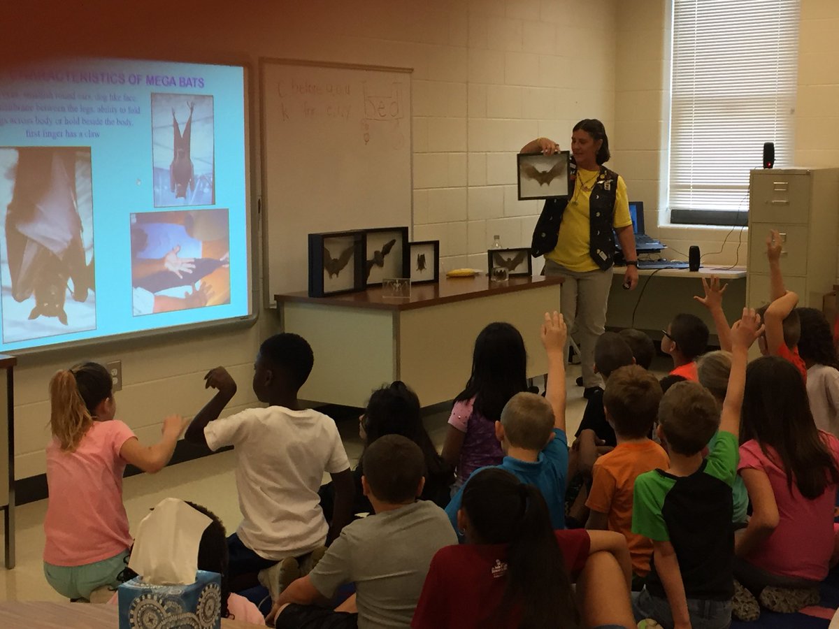 CoachKMuecke's tweet photo. A little Bat Education! 🦇@ClarkCreekSTEM #getCONNECTED https://t.co/LwAtqDG0i5