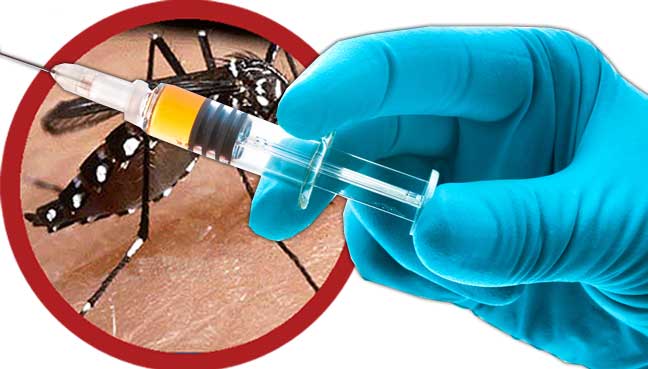 combatadengue's tweet photo. Mais de 23 mil jovens precisam receber vacina contra a #dengue em Foz do Iguaçu. Confira: https://t.co/9hfM1trxP2 https://t.co/meeiSFrUDj
