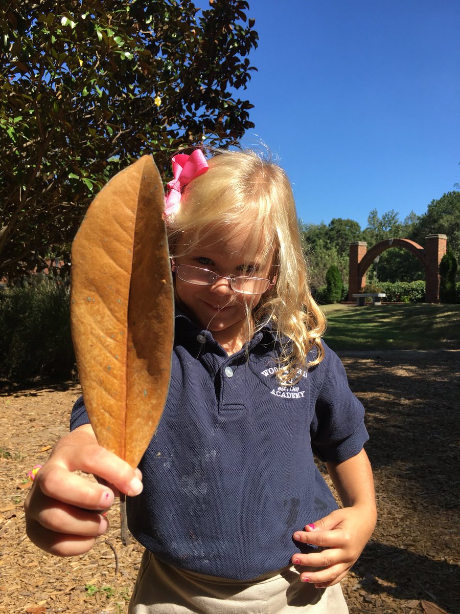 krista straughn tweet media