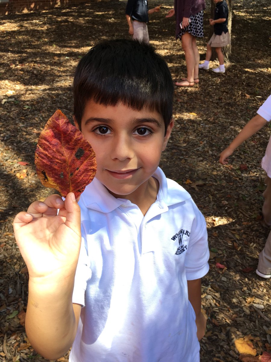 krista straughn tweet media