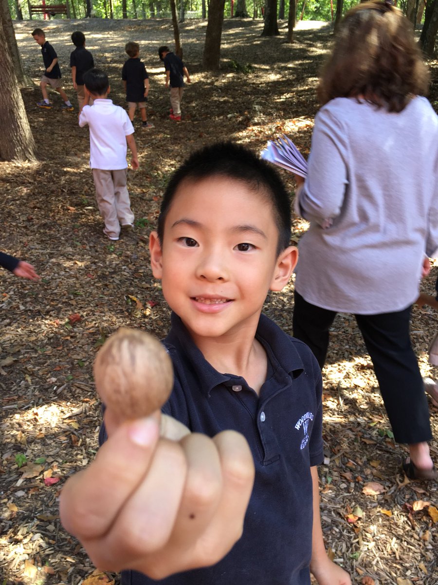 krista straughn tweet media