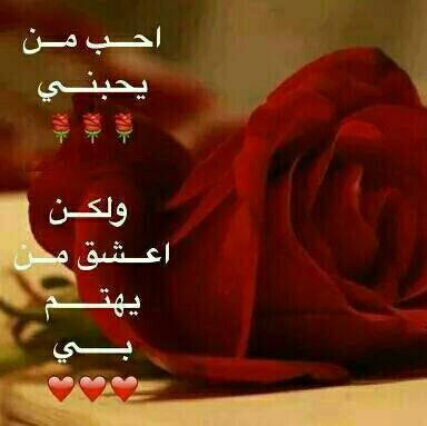 اعشق كل سالب مربرب