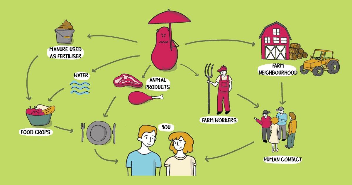beuc's tweet photo. You can make a difference to save #antibiotics! Join our online flash mob now to cut farm use https://t.co/OaVSc25mwi #AntibioticResistance https://t.co/Tp2KdiqDpZ