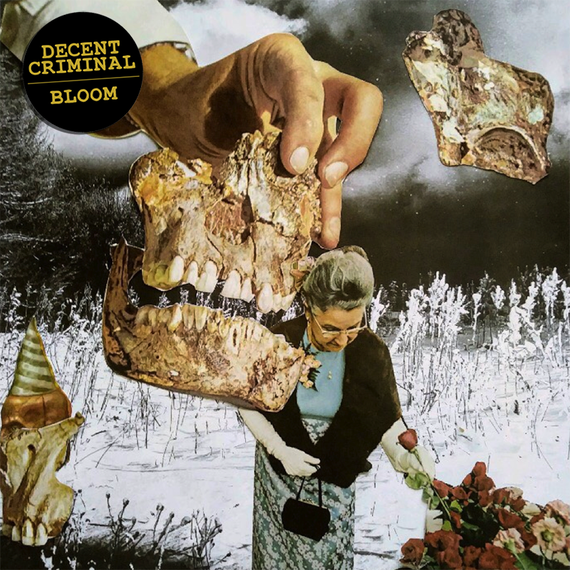 DodgeballRCS's tweet photo. Decent Criminal's new album "Bloom" is out now! Get it here and turn it up: https://t.co/Nk4VUYkPfG https://t.co/YIUWr1Sfia