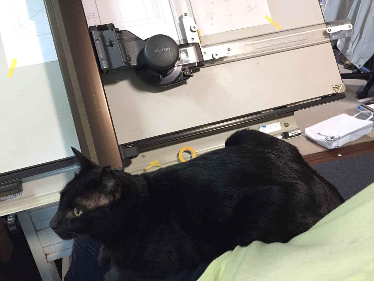 らってん技研 ウチのウォッカちゃん 3歳の黒猫 が急死しました 僕がこれまで出会った猫 の中で一番強烈な甘えん坊で ストーカーのような猫だっただけに あまりにも突然でショックです ご冥福をお祈りします ウォッカちゃん 1年半毎日癒してくれて らってん技研 ウチのウォッカちゃん 3歳の黒猫 が急死しました 僕がこれまで出会った猫 の中で一番強烈な甘えん坊で ストーカーのような猫だっただけに あまりにも突然でショックです ご冥福をお祈りします ウォッカちゃん 1年半毎日癒してくれて
