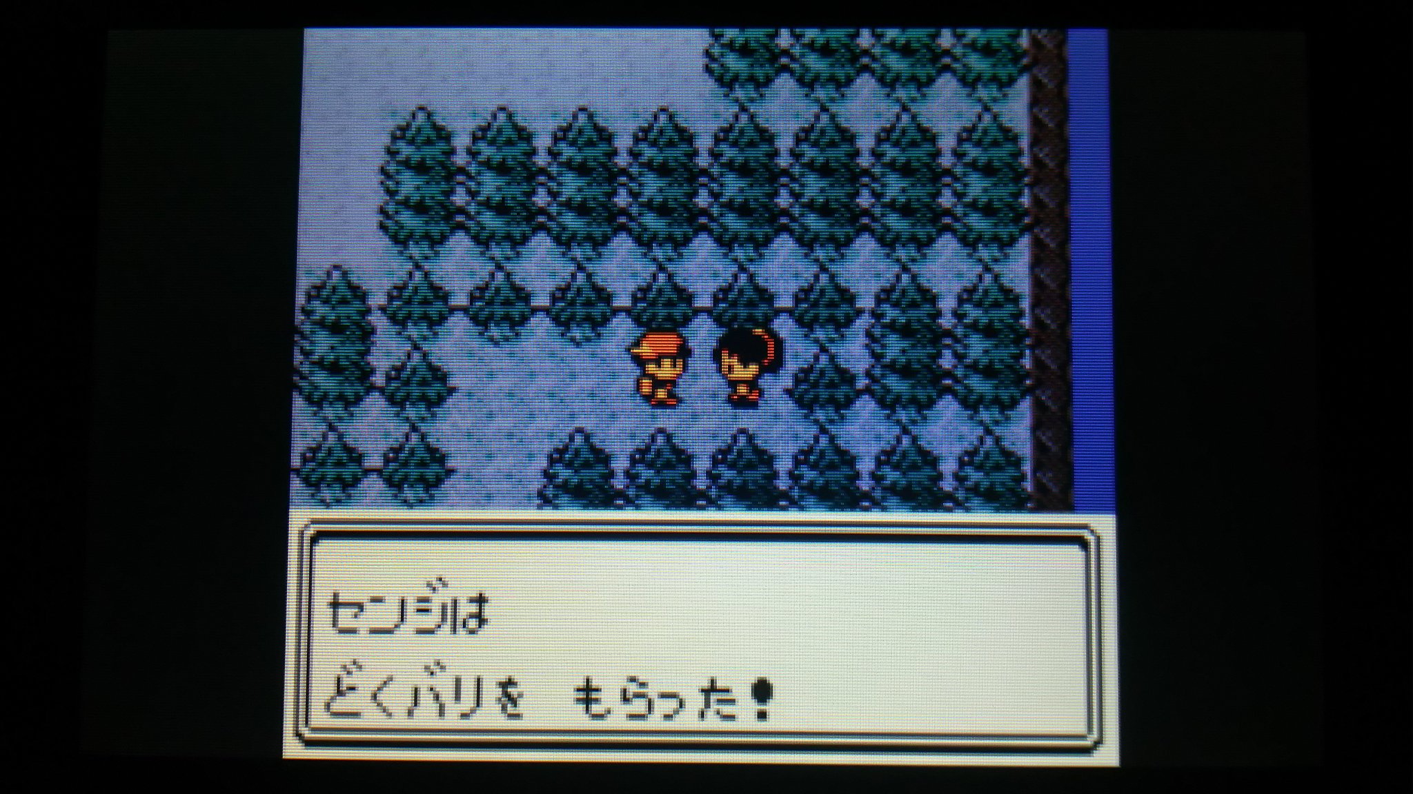 センジ センジは どくバリを もらった ポケモン金銀 T Co Naynwthipu Twitter
