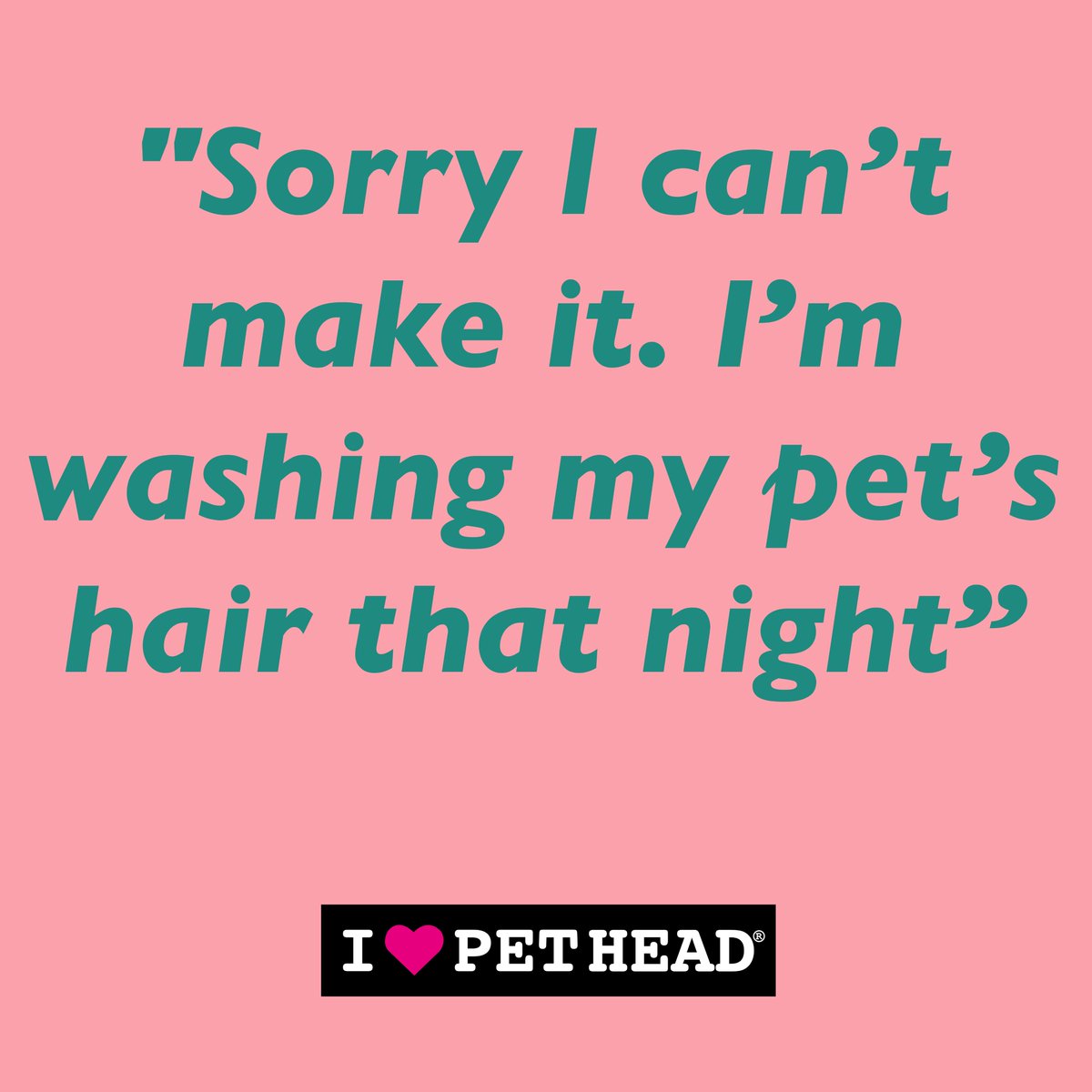 A plausible excuse to use, we think you'll agree?