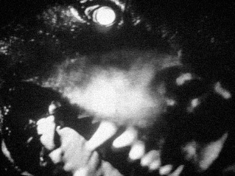 #FF <a href="/SonAndTheHeir/">Mel Halliwell</a> @ShyTelepath @BeowulficAlpha <a href="/RuinousBeast/">⋆༺𓆩 𝐇𝐄𝐑𝐀𝐋𝐃 𝐎𝐅 𝐑𝐔𝐈𝐍 𓆪༻⋆</a>