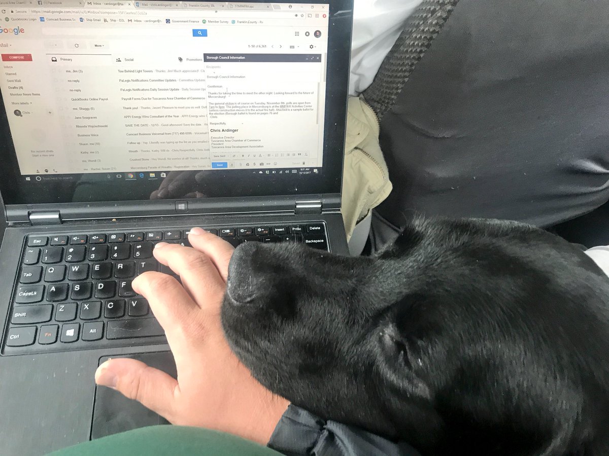ChrisArdinger's tweet photo. Dawson really didn’t want me to work on the ride down to Baltimore. #sillydog #emailscanwait https://t.co/lN2fsijs3r