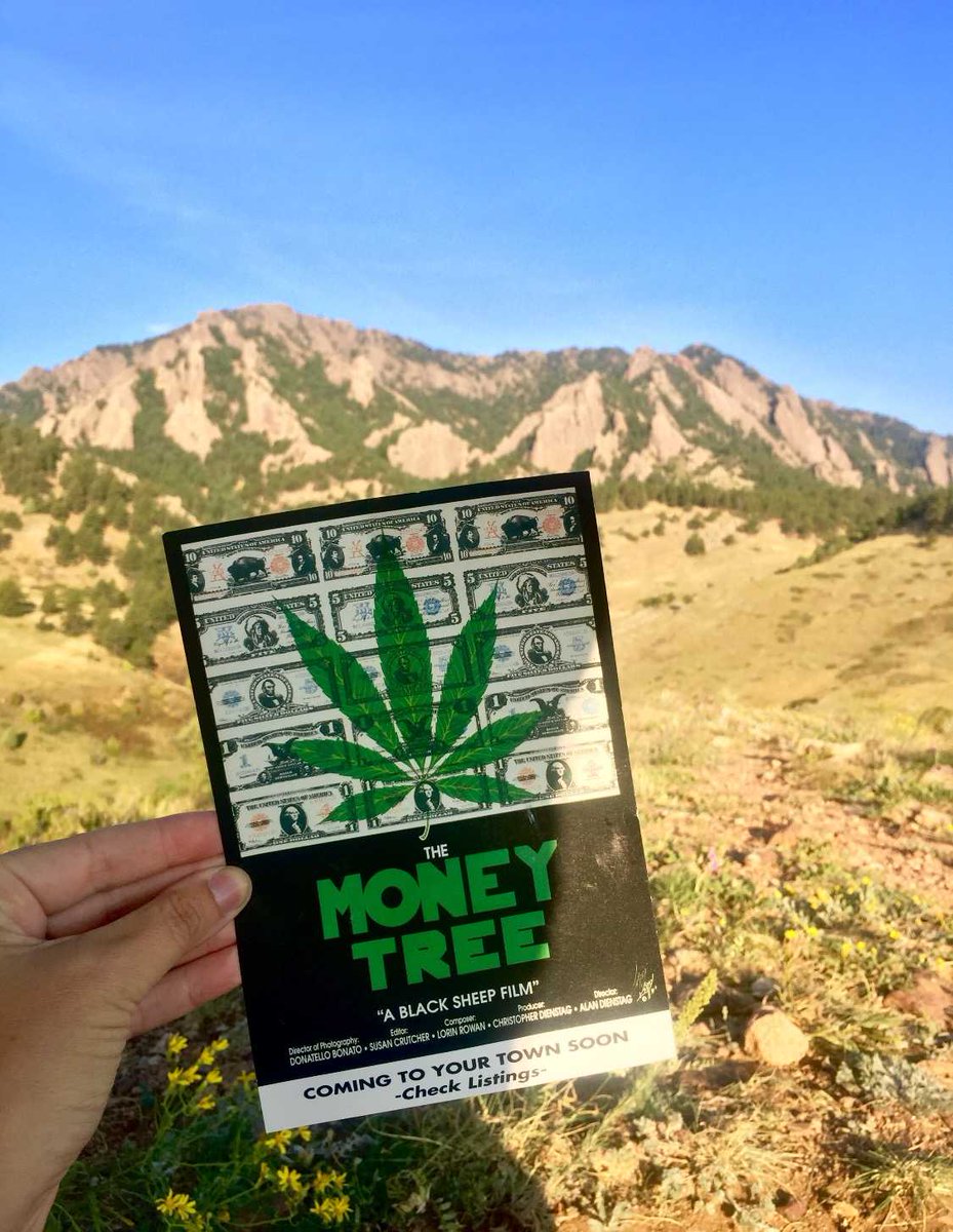 moneytreechris's tweet photo. From summer to #Fall2017, we have been BUSY touring #Merica sharing how #Freedom begins in your own backyard! Where are we in this pic? https://t.co/CQKGnB6otW