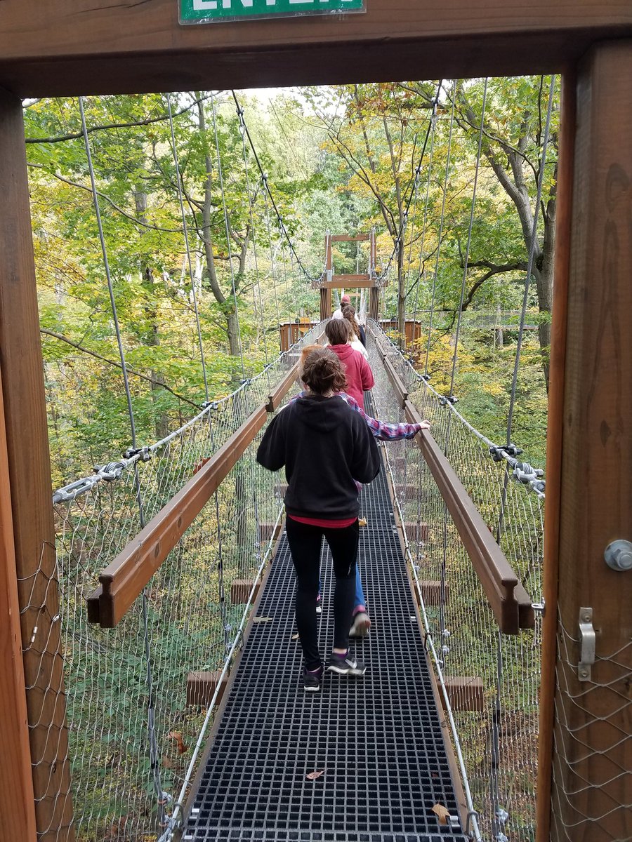 CFCoachBA's tweet photo. Canopy Walk at Holden Arboretum #cfevs #chagreen https://t.co/tuqaRi0b6j