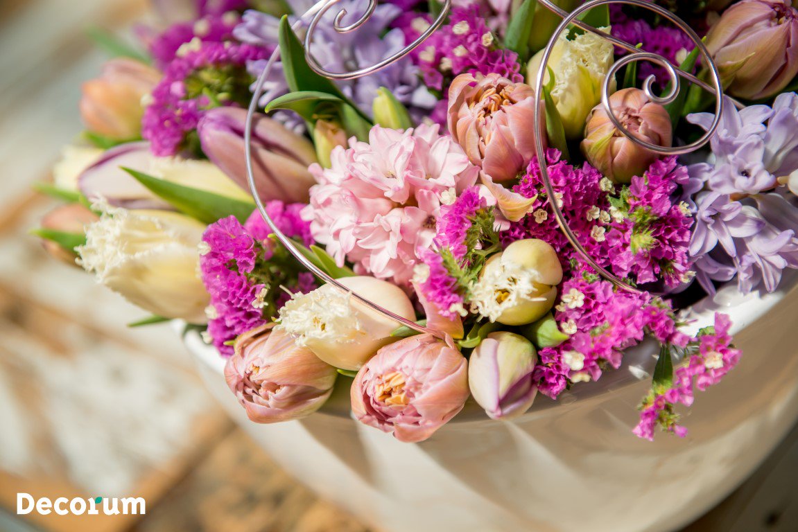 Decorumcompany's tweet photo. #Trots! Onze leden @Moermanlilium, J&amp;P Ten Have, Montis en Van den Berg de Lier finalisten in de Dutch Tulip Award! https://t.co/VQSIbjX7zn https://t.co/y2kGmHNAvZ