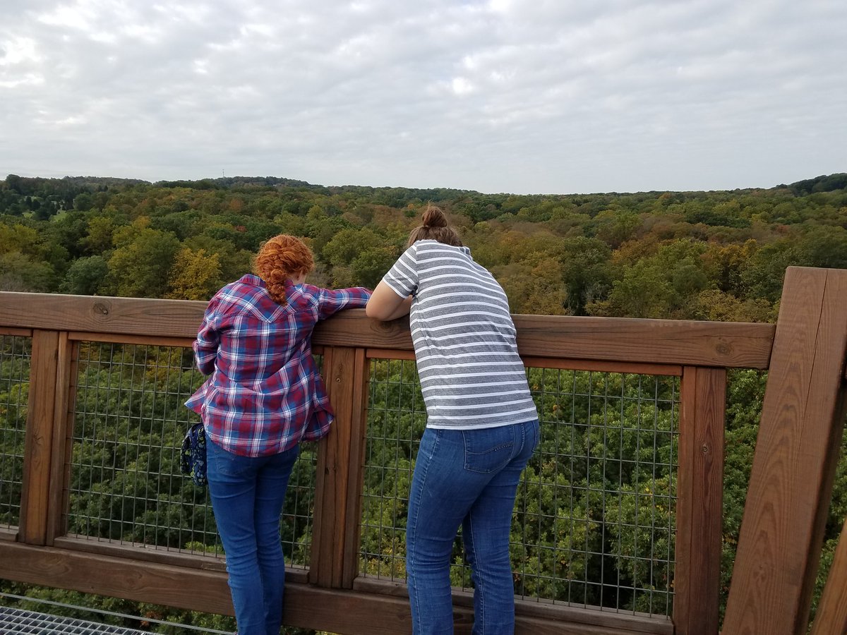CFCoachBA's tweet photo. Emergent Tower at Holden Arboretum #cfevs #chagreen https://t.co/yJisyJsxlr