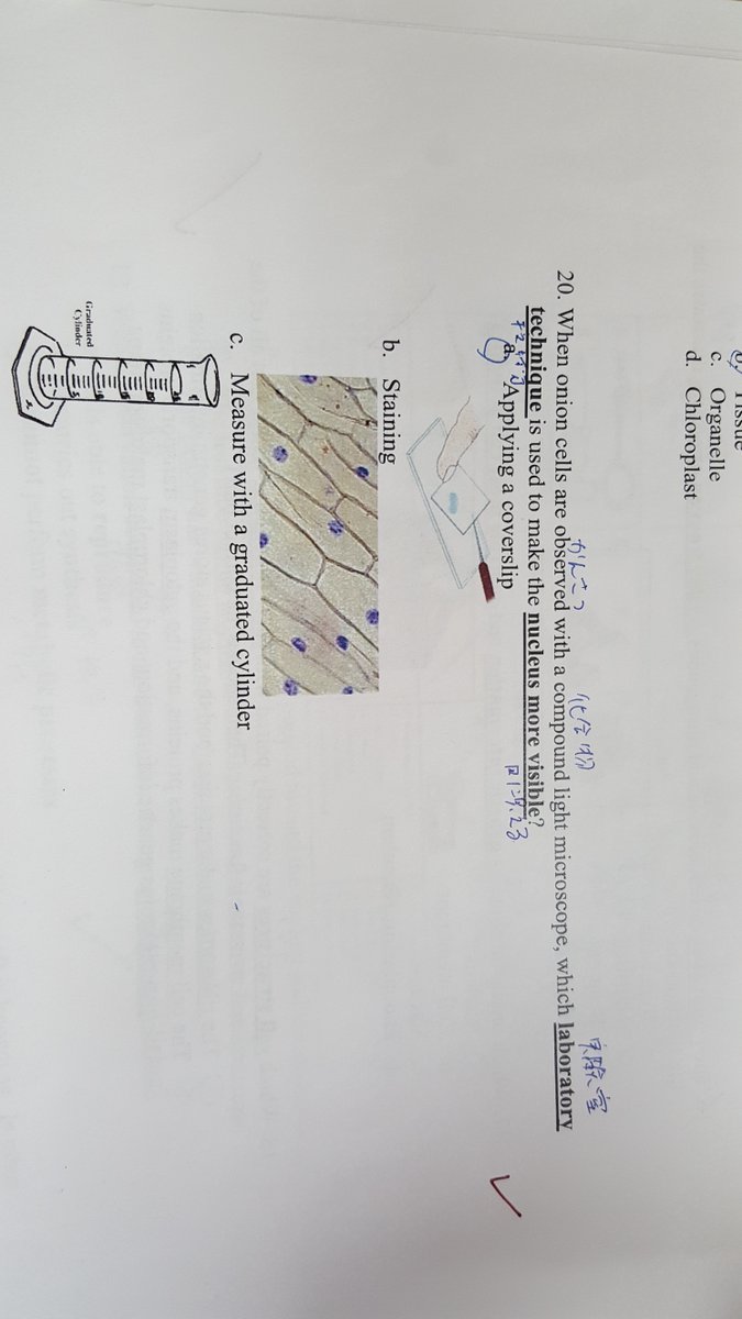 JenniferDaddino's tweet photo. Differentiating Assessments + L1 annotation strategIes= student success #translanguaging #comprehensibleinput #SIOP https://t.co/GKS1sDBVHY