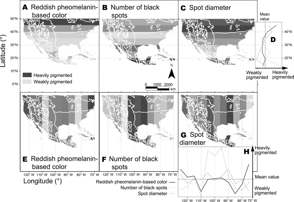 The Auk On Twitter From 2015 Gloger S Rule In North American