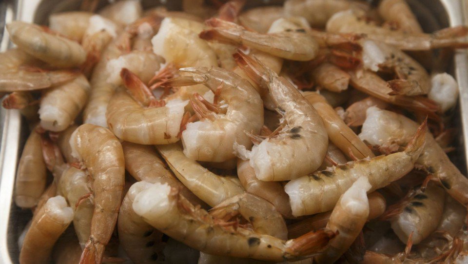 wardsseafood's tweet photo. Retail Specials: Mahi-Mahi Fillet $15.99 LB, Halibut Fillet $24.99 LB, Large Shrimp $11.99 LB, Littleneck Clams $3.99 Dz. https://t.co/8FiWQhcXkM
