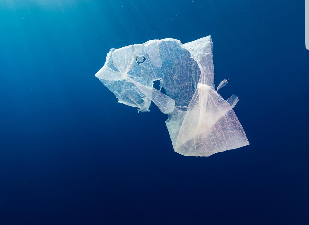 gsdago's tweet photo. Pas de « #taxe #plastique » finalement. L’#UE y renonce. Priorité à la #sensibilisation  Via @EURACTIV_FR https://t.co/gX9plyR3cz https://t.co/RikZY2SQIE