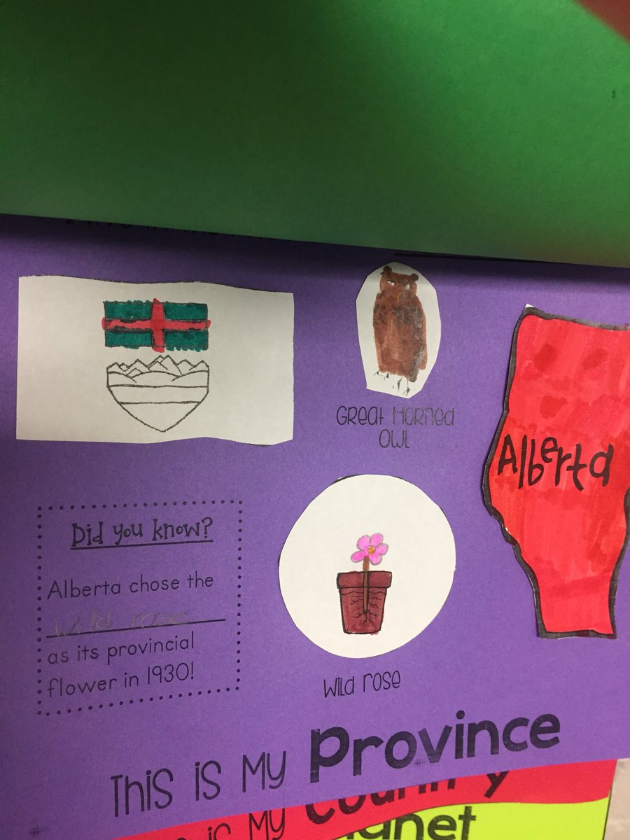 michellevidotto's tweet image. Learning all about where we live.   #meonthemap #geography #prsd8