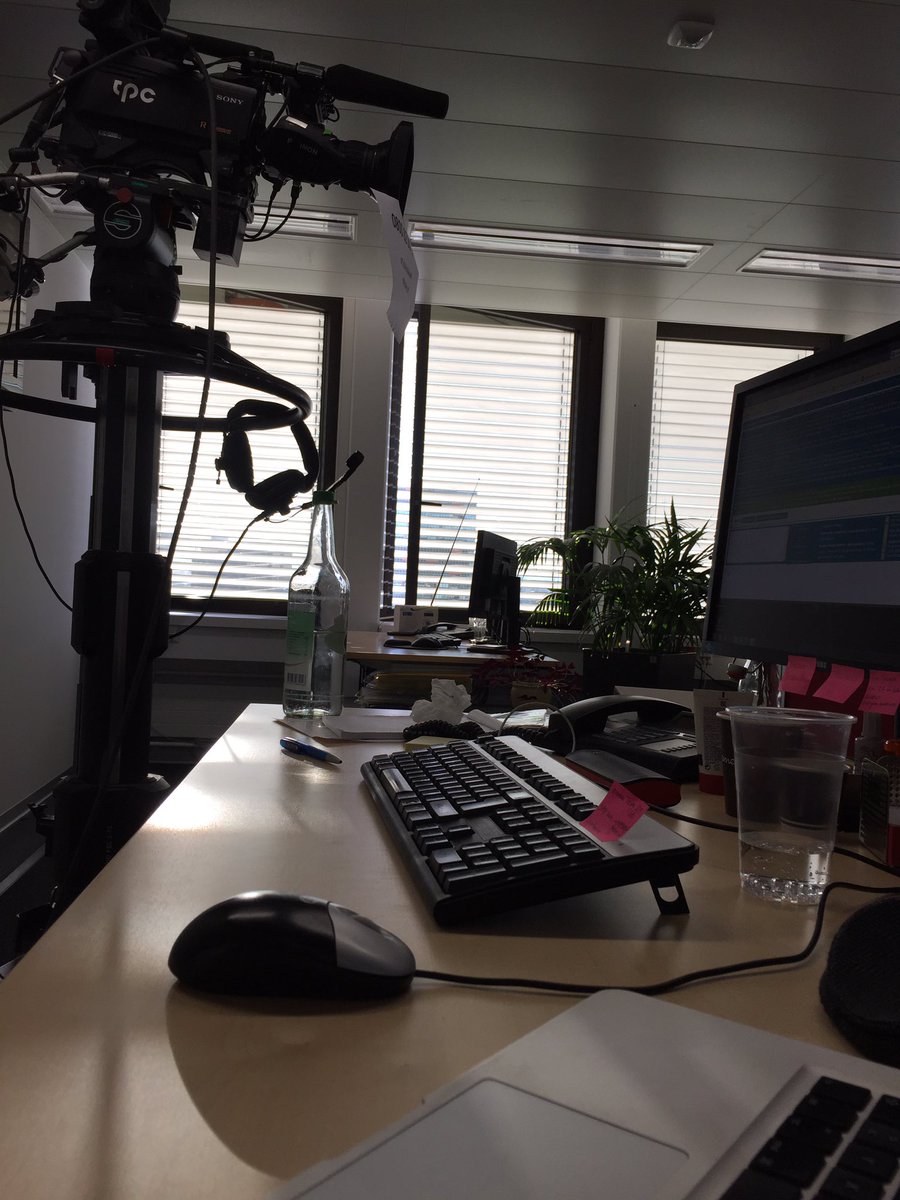 gimpelfink's tweet photo. Sonnenschein wird รผberbewertet. #hallosrf #chatmaster #kunstlichtistauchhell https://t.co/6PC7mM4gNz