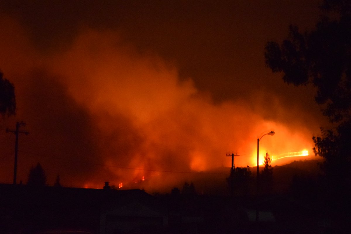 amylieberfarb's tweet image. Lodi #wine growers ready to receive fruit from any wineries at need!! HELP LINK HERE:  
instagram.com/p/BaIOnbTl5Z5/ #sonoma #napa #sonomafires