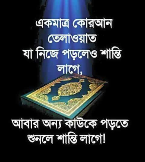Shaon Hossain Shanto tweet media