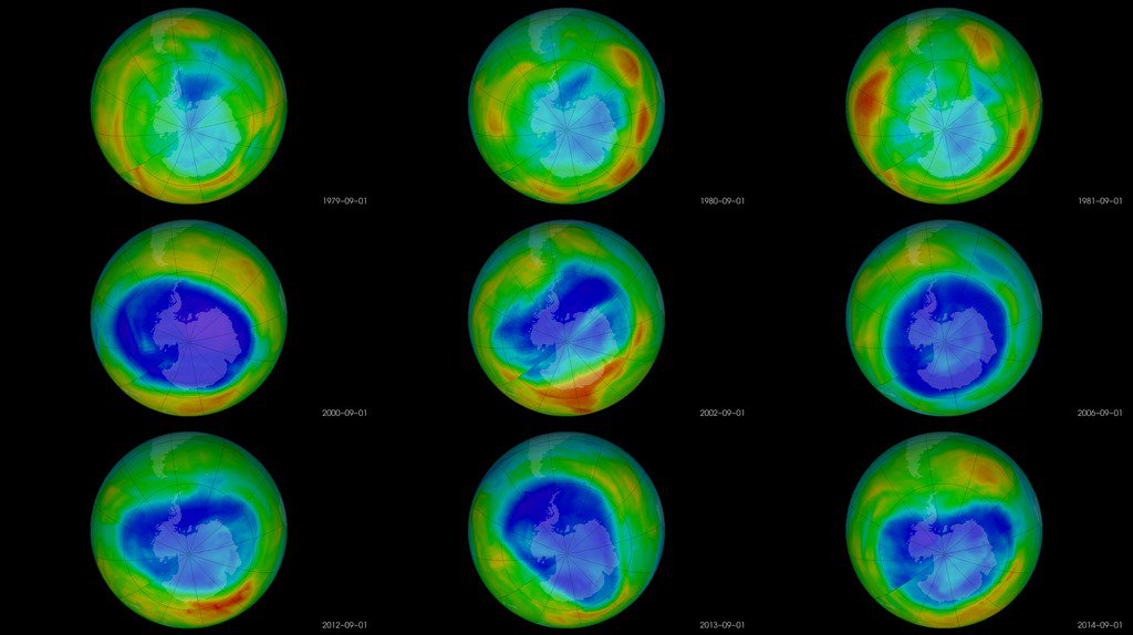 Michael Franco tweet media